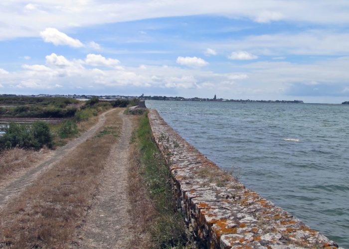 Les marais salants de Guérande
