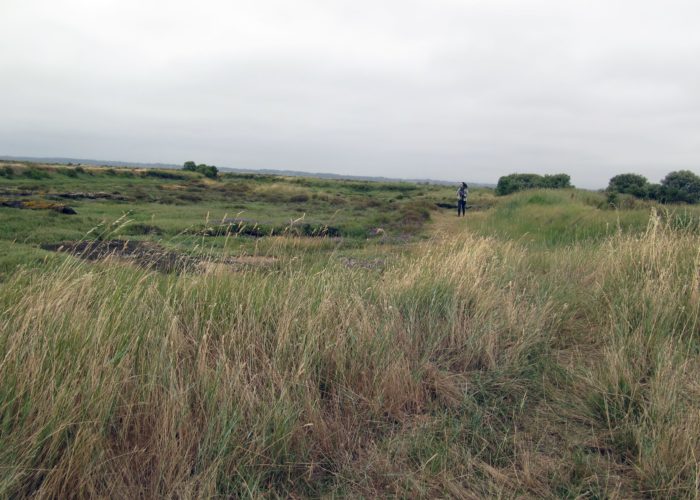Les marais salants de Guérande