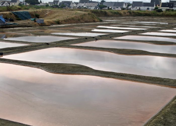 Les marais salants de Guérande