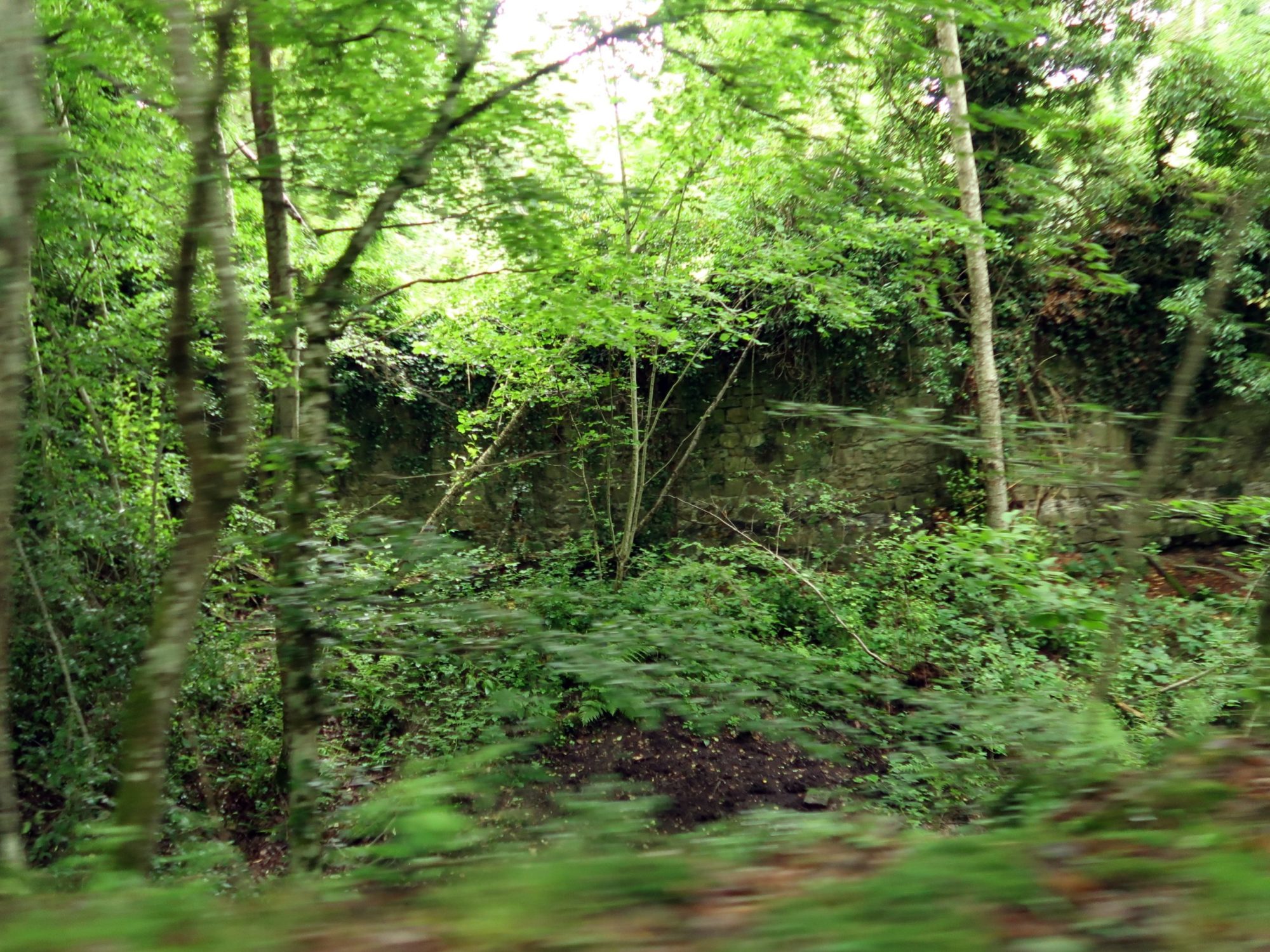 Les restes de murailles autour du site des Moulineaux