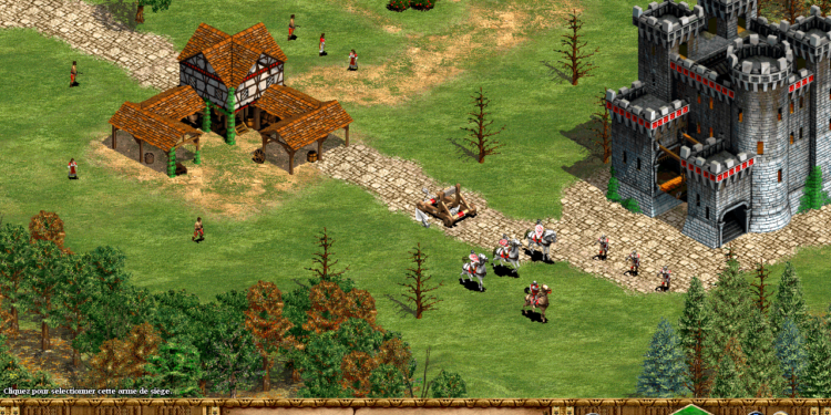 Image du jeu Ages of Empires II