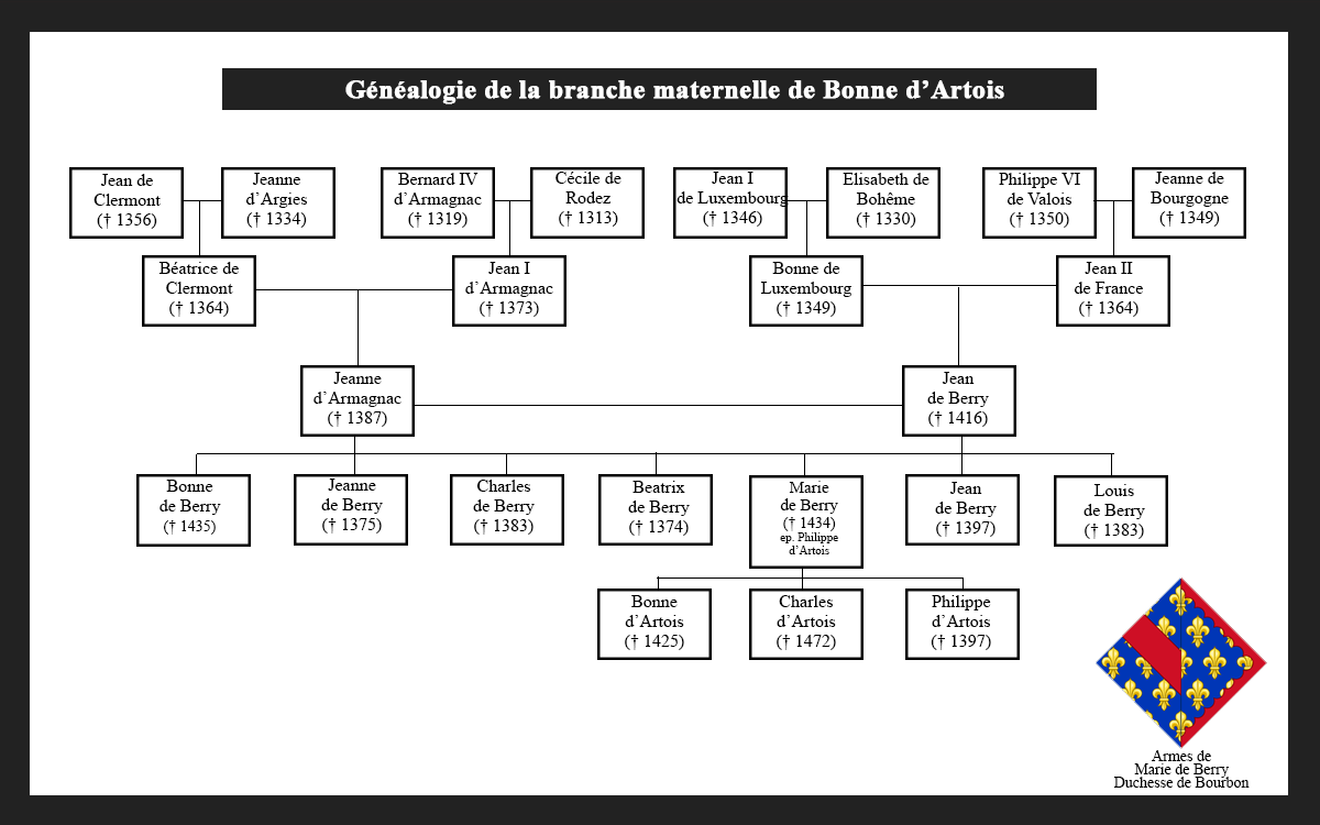 Branche Maternelle de Bonne d'Artois (par Maurena Benteboula)