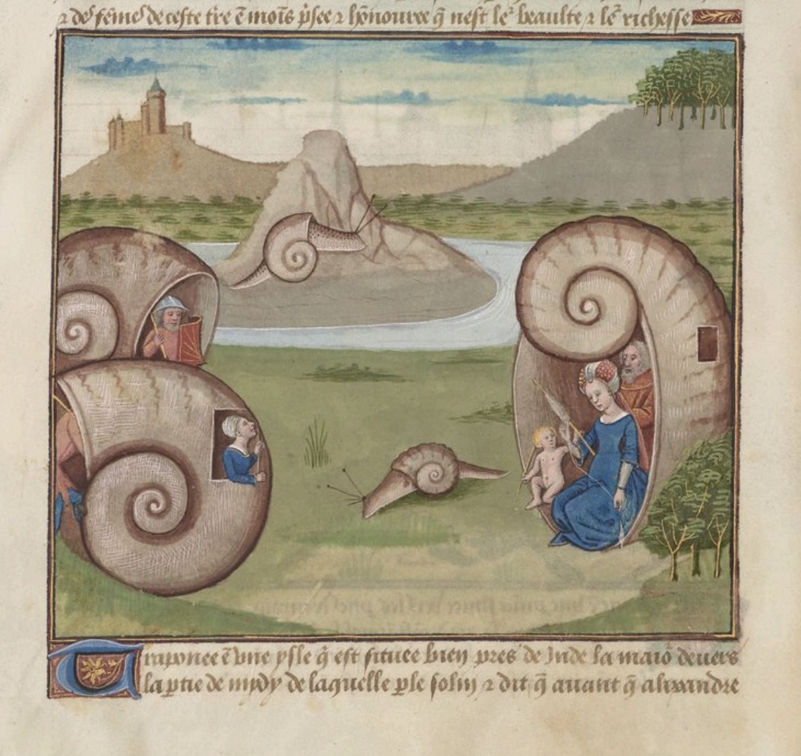 Livre des merveilles du monde ou les secrets de l'histoire naturelle- MS - Le secret de l'histoire naturelle - BNF Français MS 22971 - fol. 60v