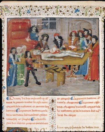 Ms H 184 fol.14v Dissection lesson at the Faculty of Medicine in Montpellier, from 'La Grande Chirurgie' by Guy de Chauliac, 1363