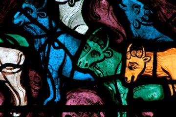 vitrail de Joseph, vaches grasses © NDC, fonds Gaud