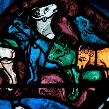 vitrail de Joseph, vaches grasses © NDC, fonds Gaud