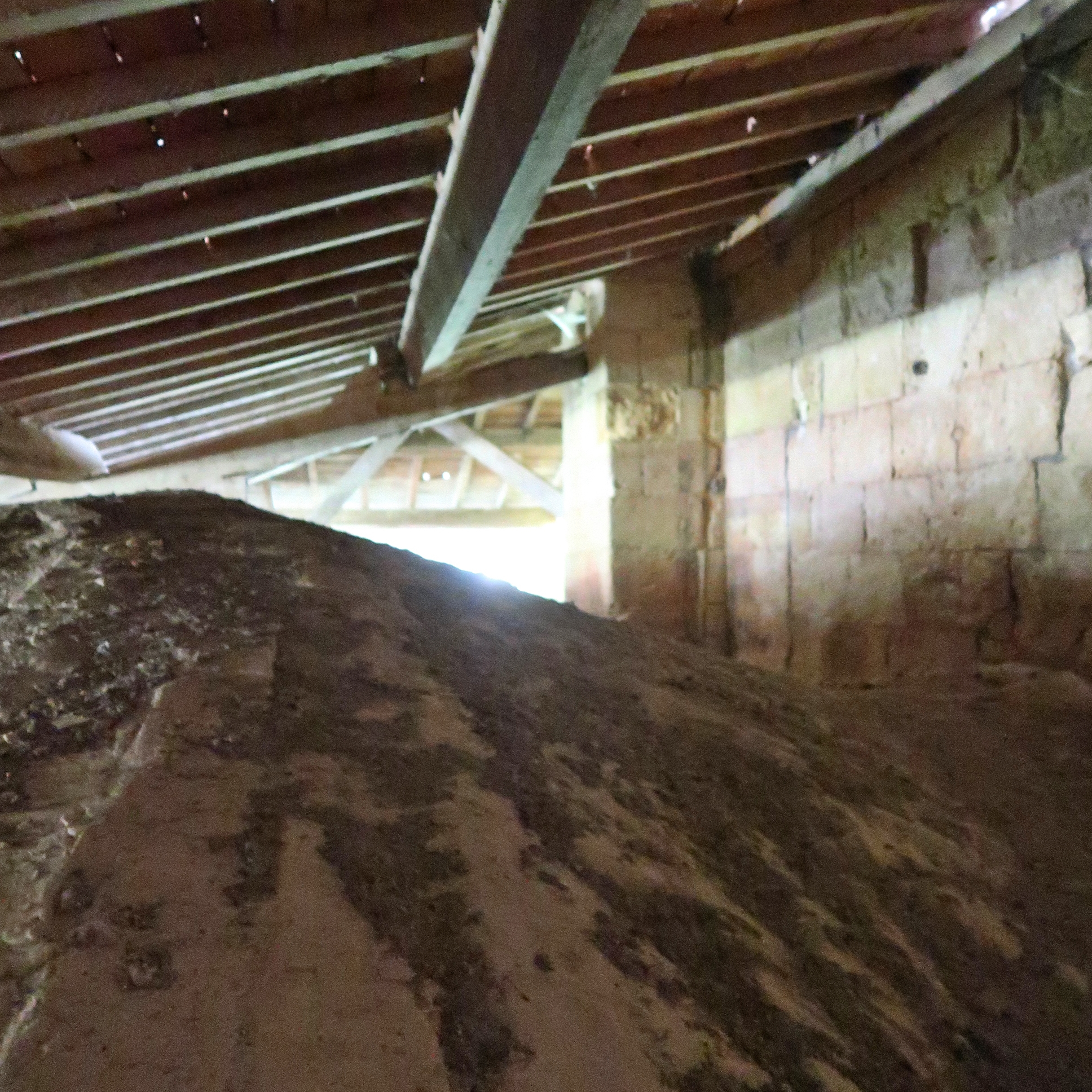 L'intérieur de l'abbaye de la Sauve Majeure