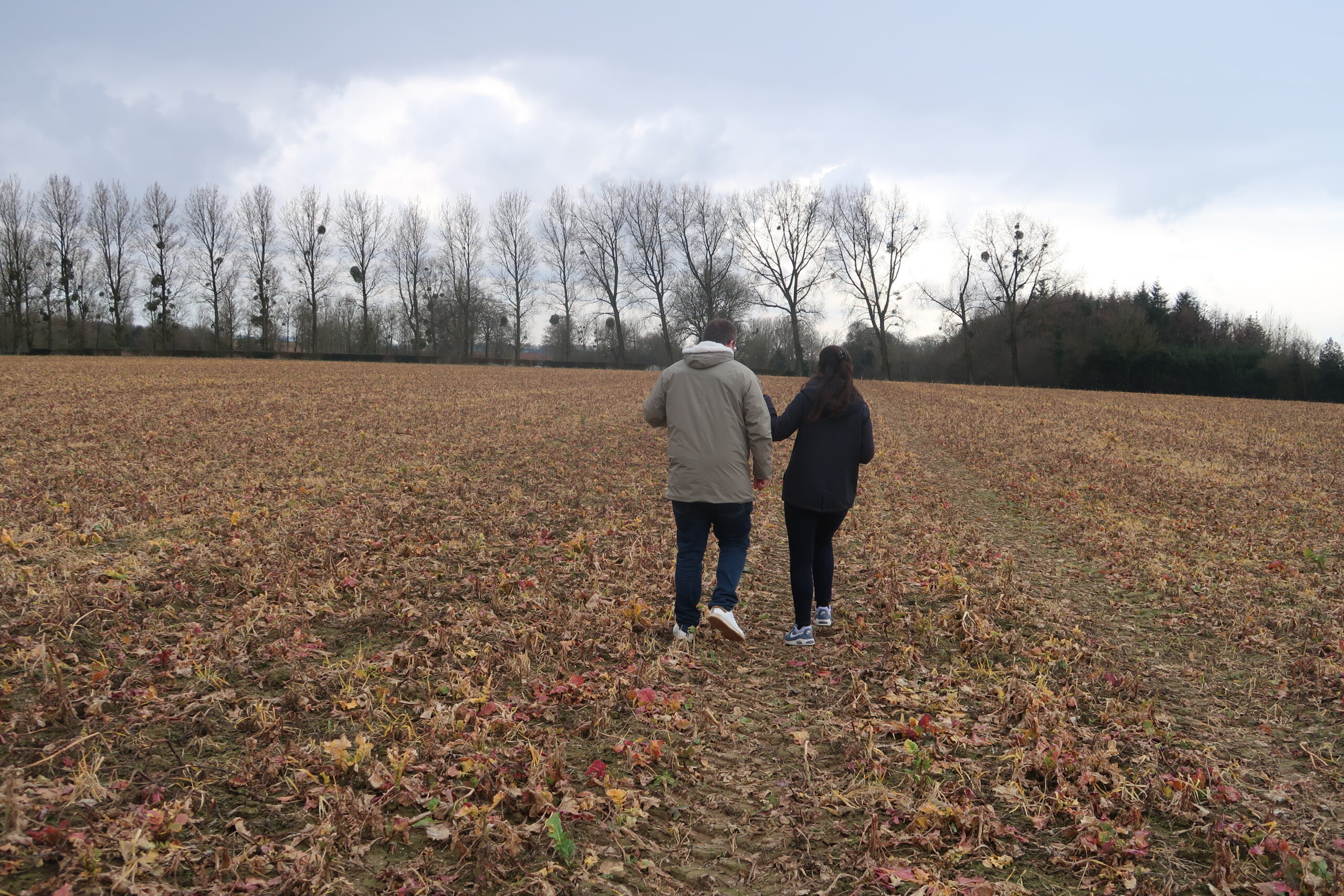 Enregistrement sur le champ de bataille d'Azincourt